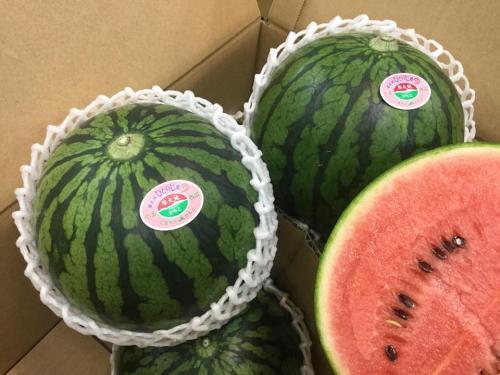 熊本県産小玉スイカ「ひとりじめ」